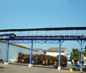 Bags Belt Conveyors